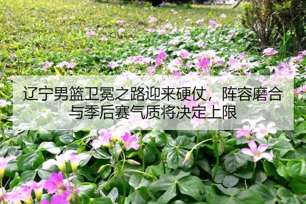liao-ning-nan-lan-wei-mian-zhi-lu-ying-lai-ying-zhang-zhen-rong-mo-he-yu-ji-hou-sai-qi-zhi-jiang-jue-ding-shang-xian-2-969.jpg