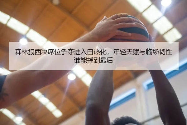 森林狼西决席位争夺进入白热化，年轻天赋与临场韧性谁能撑到最后